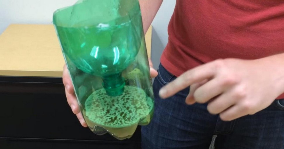 Comment faire un piège maison pour les moustiques - NewsMAG