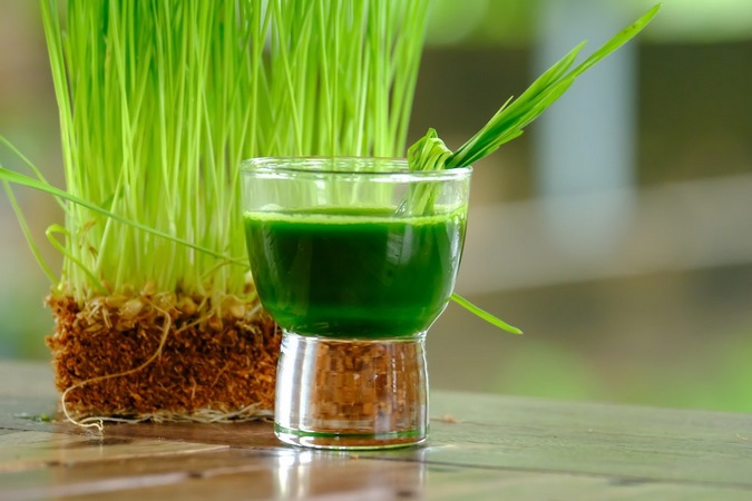 Jus d'herbe de blé : un soin de beauté qui ralentit le processus de vieillissement