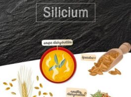 Le silicuim : bienfaits nutritionnels et propriétés