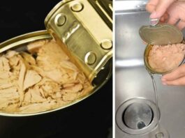 Pourquoi il faut arrêter de jeter de l’huile de boîte de thon dans l’évier ?